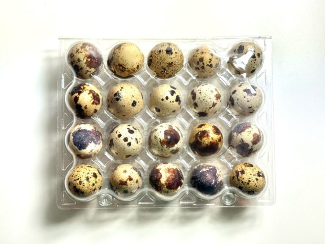 Putpelių kiaušinių dėžutės 4×5 išdėstymas, 160vnt.