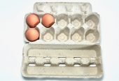 XL vištų, ančių ar žąsų kiaušinių dėklai, 120vnt.