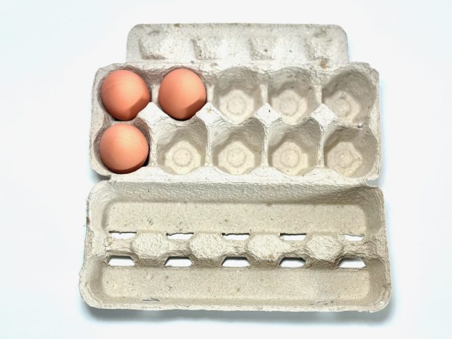 XL vištų, ančių ar žąsų kiaušinių dėklai, 120vnt.