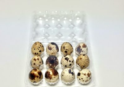 Putpelių kiaušinių dėžutės 3×4 išdėstymas, 160vnt.