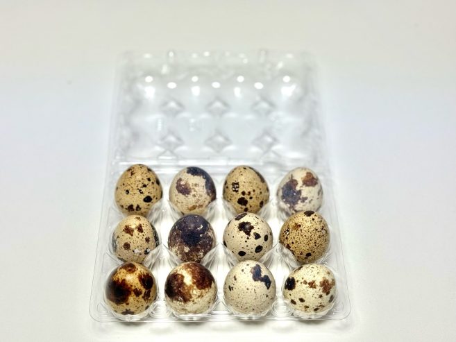 Putpelių kiaušinių dėžutės 3×4 išdėstymas, 160vnt.