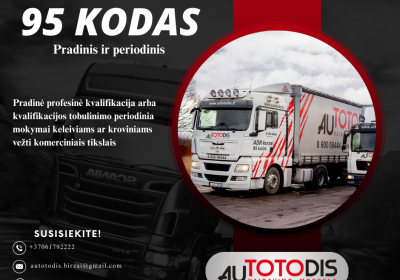 95 kodas pradinis/periodinis