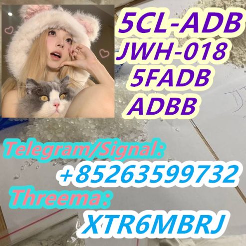 5CL-ADB supplier 5cladba 5cladb vendor on sale