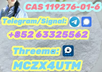 Hot sale CAS 119276-01-6 white powder