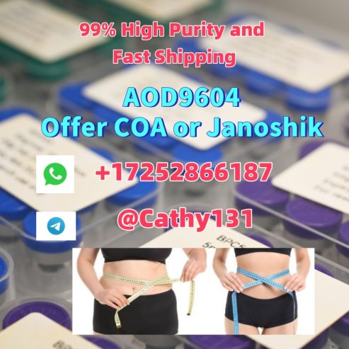 AOD9604 Weight Loss Peptide CAS 221231-10-3