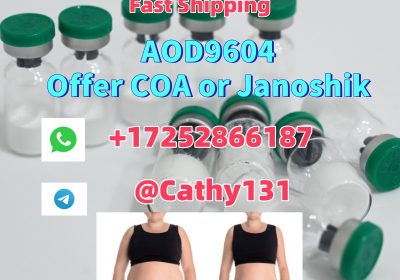 AOD9604 Weight Loss Peptide CAS 221231-10-3