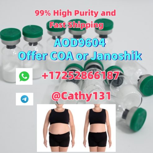 AOD9604 Weight Loss Peptide CAS 221231-10-3