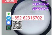 High quality Manufacturer Supply Raw Material CAS 1451-82-7 BK4 /2B4M(China)
