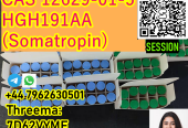 Cheap and High quality cas 12629-01-5 HGH 191AA Somatropin on sale +44 7962630501
