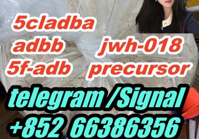 5cladba adbb jwh-018 5f-adb precursor 发的v发生的