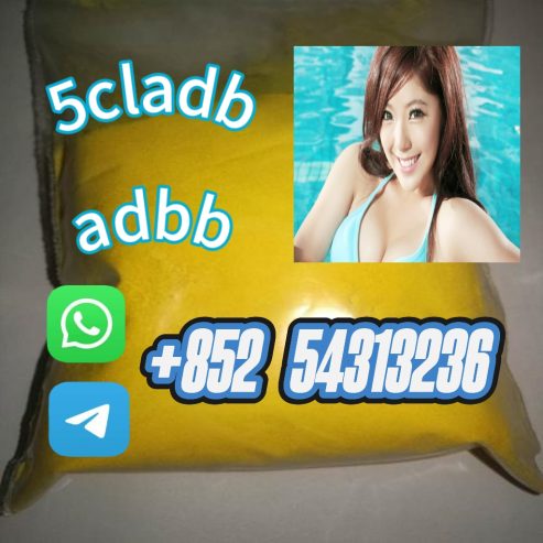Factory-direct 5-Bromo-1-pentene CAS 1119-51-3, 5cladb, 5cladba For Safe And Pure Delivery +852 54313236