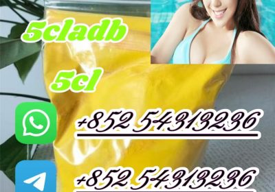 Precusor 5C 5cladb ADBB 5cladba +852 54313236
