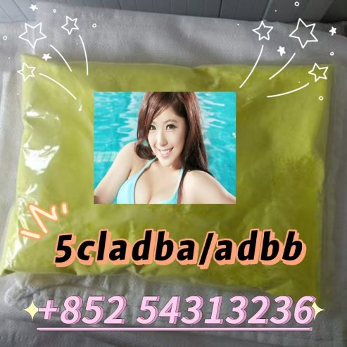 Synthetic cannabinoid 5cladb,5CL-ADB,ADBB +852 54313236