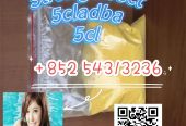 Synthetic cannabinoid 5cladb,5CL-ADB,ADBB +852 54313236
