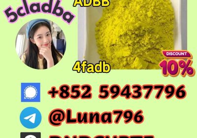 5CL-ADB 4fadba 5fadba 6cladbb 2cladbb 5fmdma 6cladba 5cladba 2f-dck