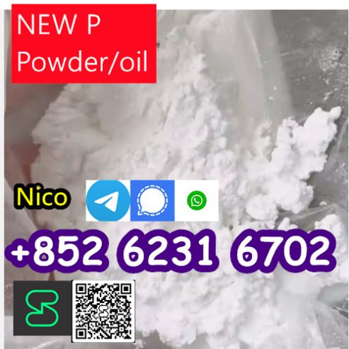 CHINESE FACTORY SUPPLY new PMK POWDER ETHYL GLYCIDATE CAS 28578 16 7 WITH HIGH QUALITY IN INDIA