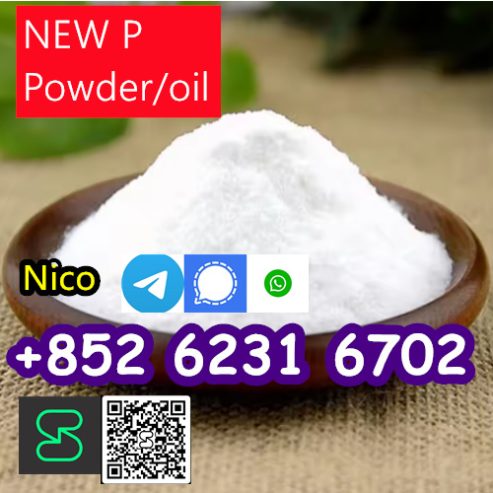 CHINESE FACTORY SUPPLY new PMK POWDER ETHYL GLYCIDATE CAS 28578 16 7 WITH HIGH QUALITY IN INDIA
