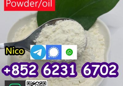 CHINESE FACTORY SUPPLY new PMK POWDER ETHYL GLYCIDATE CAS 28578 16 7 WITH HIGH QUALITY IN INDIA