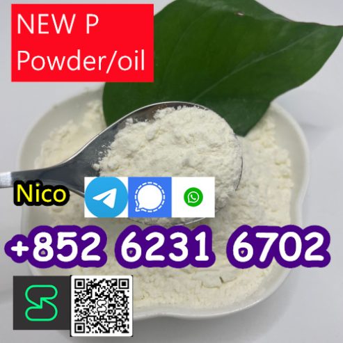 CHINESE FACTORY SUPPLY new PMK POWDER ETHYL GLYCIDATE CAS 28578 16 7 WITH HIGH QUALITY IN INDIA