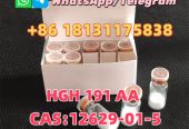 Specialized in Providing High-quality Bioactive Peptides