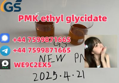 Factory Direct Sale 99% purity PMK CAS 28578-16-7