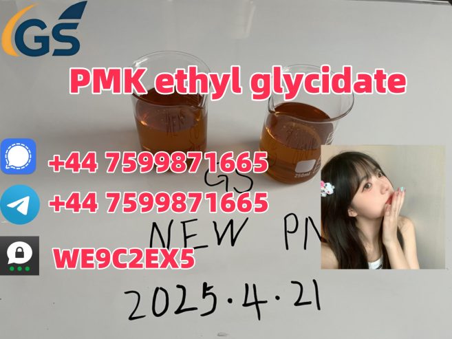 Factory Direct Sale 99% purity PMK CAS 28578-16-7