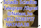 5cladba precursor 5cl raw materials 5cladb 5cladba