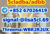 5CL-ADBA Strongest Research Chemical 5cl Precursor 5cladba From Factory