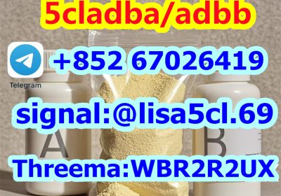 5CL-ADBA Strongest Research Chemical 5cl Precursor 5cladba From Factory