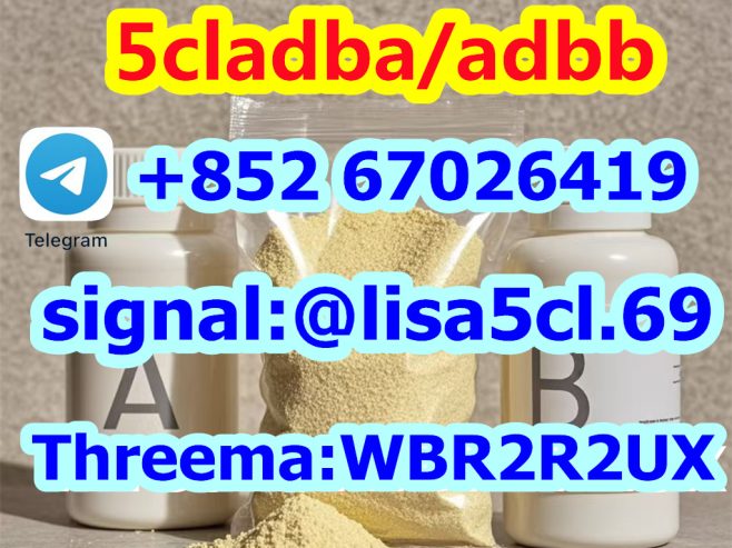 5CL-ADBA Strongest Research Chemical 5cl Precursor 5cladba From Factory