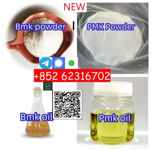 High quality 99% CAS 5449-12-7 BMK Glycidic Acid Sodium Salt Powder