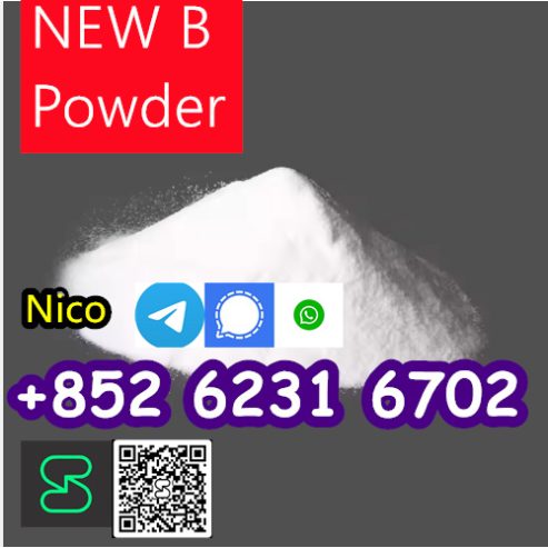 High quality 99% CAS 5449-12-7 BMK Glycidic Acid Sodium Salt Powder