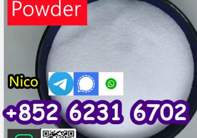 High quality 99% CAS 5449-12-7 BMK Glycidic Acid Sodium Salt Powder