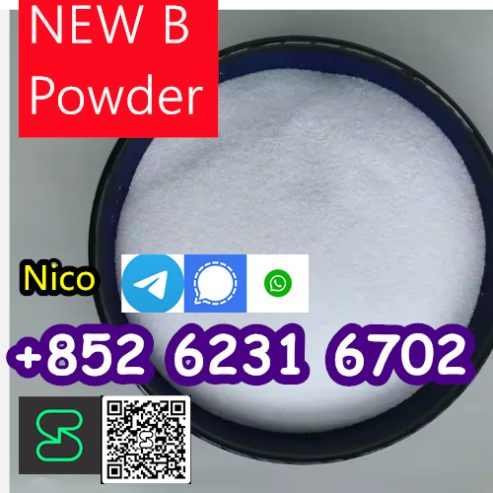 High quality 99% CAS 5449-12-7 BMK Glycidic Acid Sodium Salt Powder