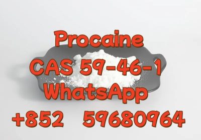 99% Purity Procaine cas 59-46-1
