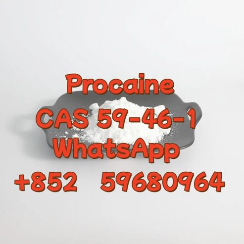 99% Purity Procaine cas 59-46-1