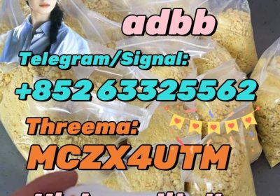 High Quality 5cladba Precursor Raw Material 5cl-Adb-A Raw Material