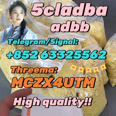 High Quality 5cladba Precursor Raw Material 5cl-Adb-A Raw Material