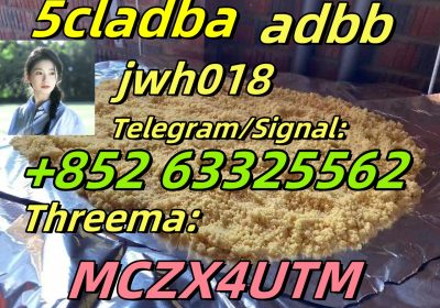5cl-Adb 5cladba 5cl 5cladba Adbb Precursor 5cl-Adb- Fast Delivery