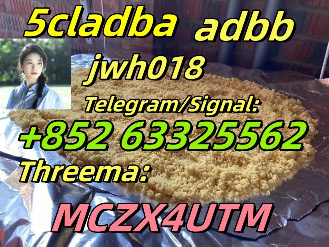 5cl-Adb 5cladba 5cl 5cladba Adbb Precursor 5cl-Adb- Fast Delivery
