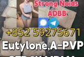 5CLADBA: Best Prices from 5CLADBA ADBB Factory