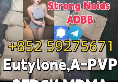 5CLADBA ADBB Factory Supply 