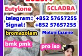 109555-87-5 5CLADBA Eutylone 802855-66-9 407-97-6