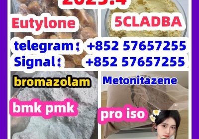 109555-87-5 5CLADBA Eutylone 802855-66-9 407-97-6