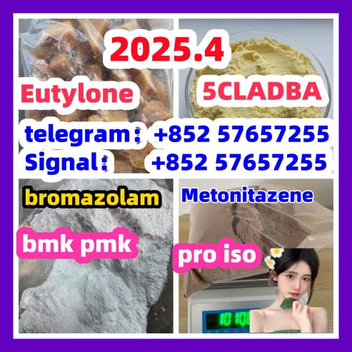 109555-87-5 5CLADBA Eutylone 802855-66-9 407-97-6
