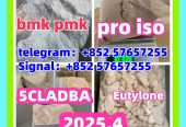 119276-01-6 protonitazene 14188-81-9 2732926-24-6 iso