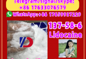 Manufacturer Supply Raw Material CAS 137-58-6 Lidocaine