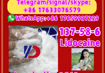 Manufacturer Supply Raw Material CAS 137-58-6 Lidocaine