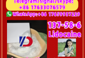 Manufacturer Supply Raw Material CAS 137-58-6 Lidocaine