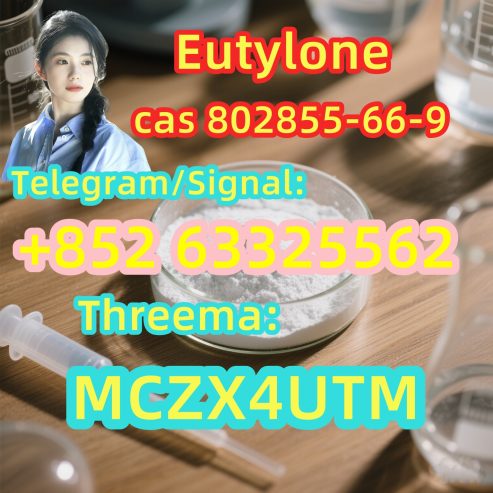 802855-66-9 EUTYLONE HOT SALE